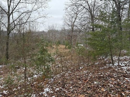 0 Whetstone Rd, Greenup, KY, 41144 | Card Image