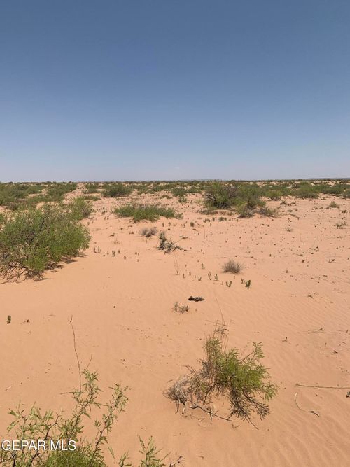 PN62177 Cocktail Dr, Fort Hancock, TX, 79839 | Card Image