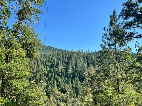 4234 Placer Rd, Wolf Creek, OR, 97497-9784 | Card Image