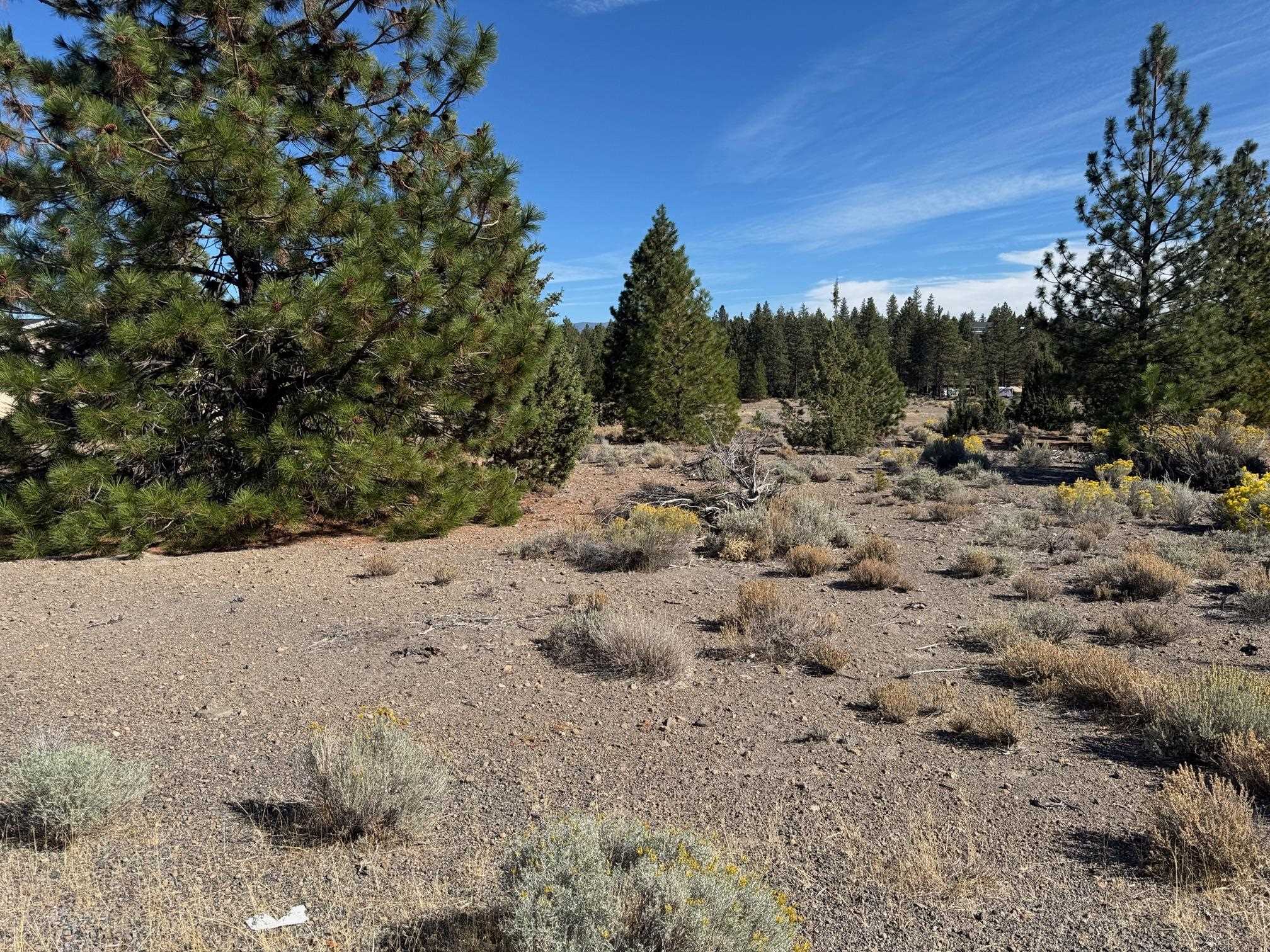 Land in Weed 3