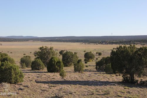 43-8500 Tbd County Road 8500 Road, Concho, AZ, 85924 | Card Image