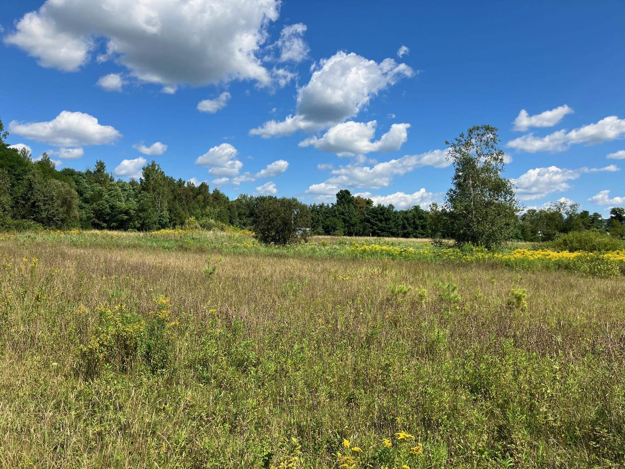 Land in Richford 2