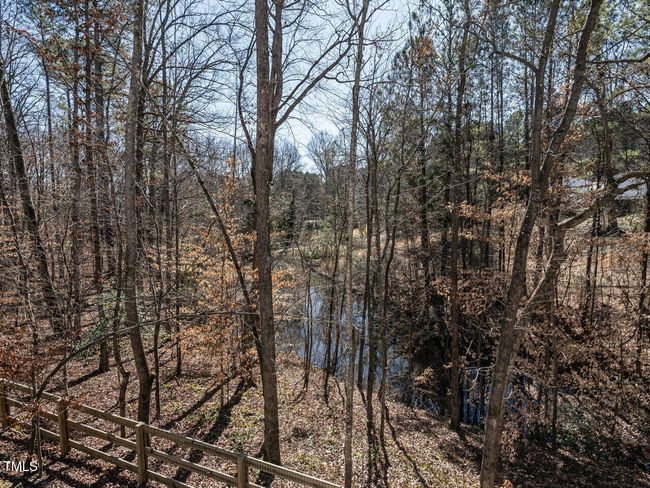 Pond View | Image 30