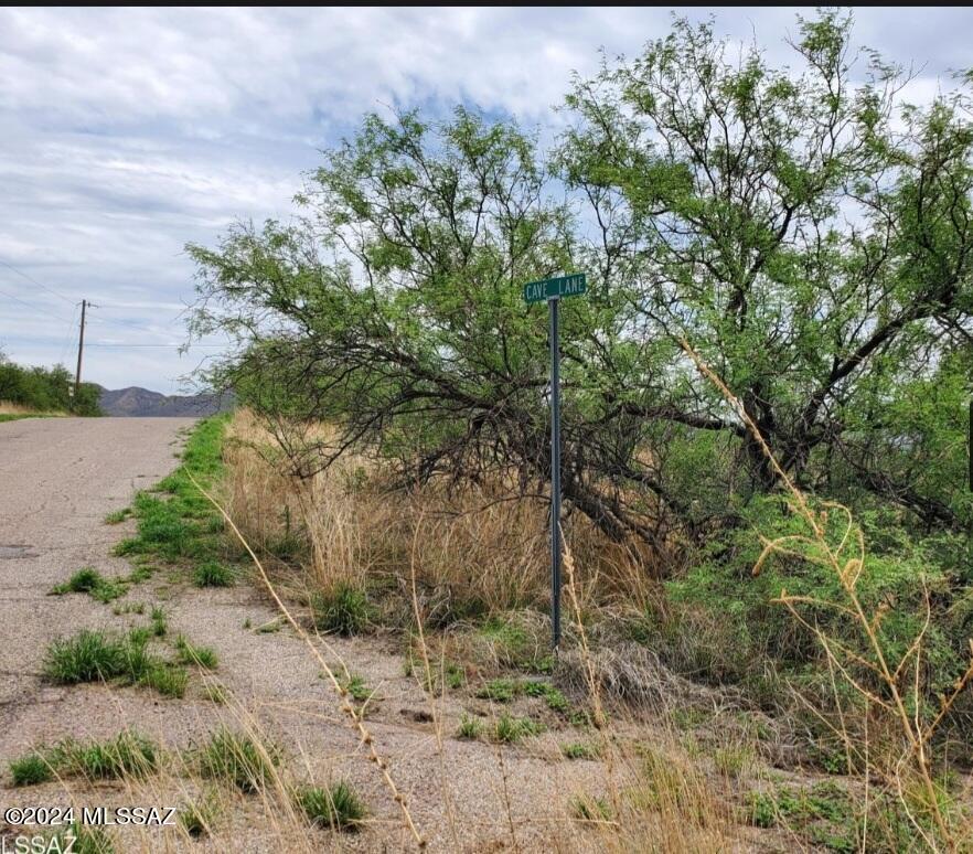 Land in Rio Rico 3