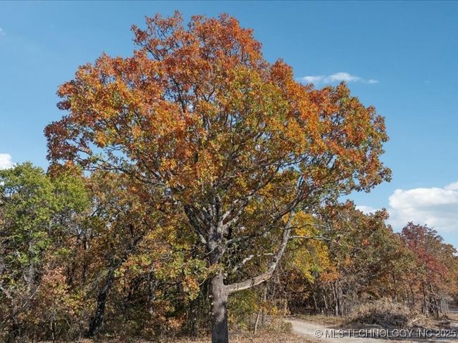 5 Thousand Oaks Road, Home with 0 bedrooms, 0 bathrooms and null parking in Sand Springs OK | Image 7