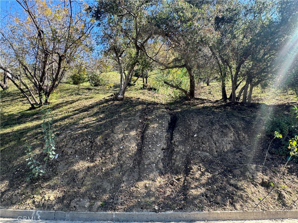 Land in Sherman Oaks 3
