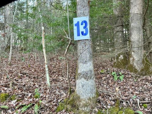 Lot 13 Hensley Rd, East Bernstadt, KY, 40729-7001 | Card Image