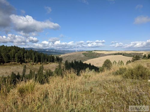 L50B4 Cutthroat Run, Irwin, ID, 83428 | Card Image
