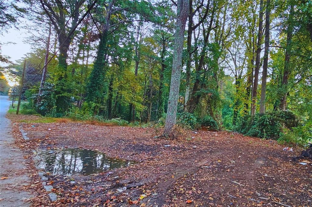 Land in Atlanta 3