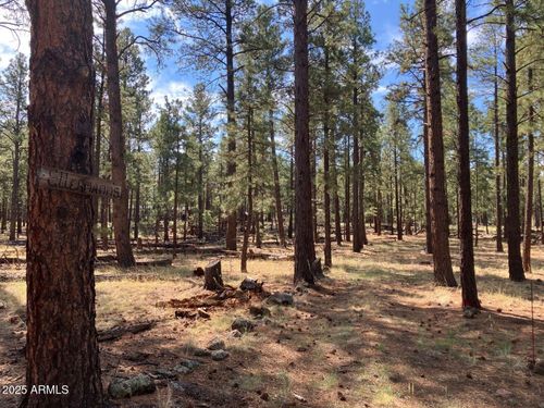 103-18 County Road N1045, Springerville, AZ, 85938 | Card Image