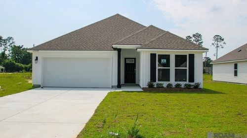 25004 Berry Ridge Lane, Springfield, LA, 70462 | Card Image