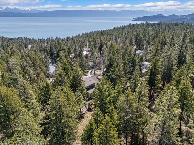 Birds eye view of property with a wooded view and a mountain view | Image 40