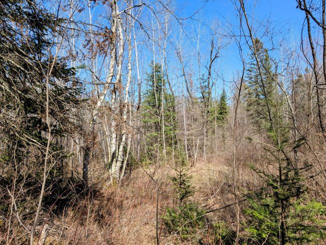N12912 State Highway 13, House other with 2 bedrooms, 1 bathrooms and null parking in Fifield WI | Image 40