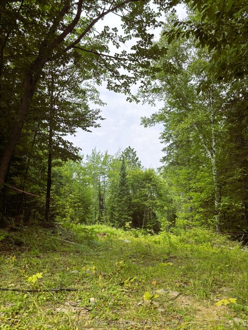 00 Siberia Rd, Barrys Bay, ON, K0J1B0 | Card Image