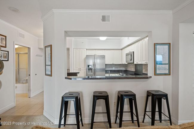 UNIT-614 - 4516 Seagull Dr, Condo with 2 bedrooms, 2 bathrooms and null parking in New Port Richey FL | Image 9