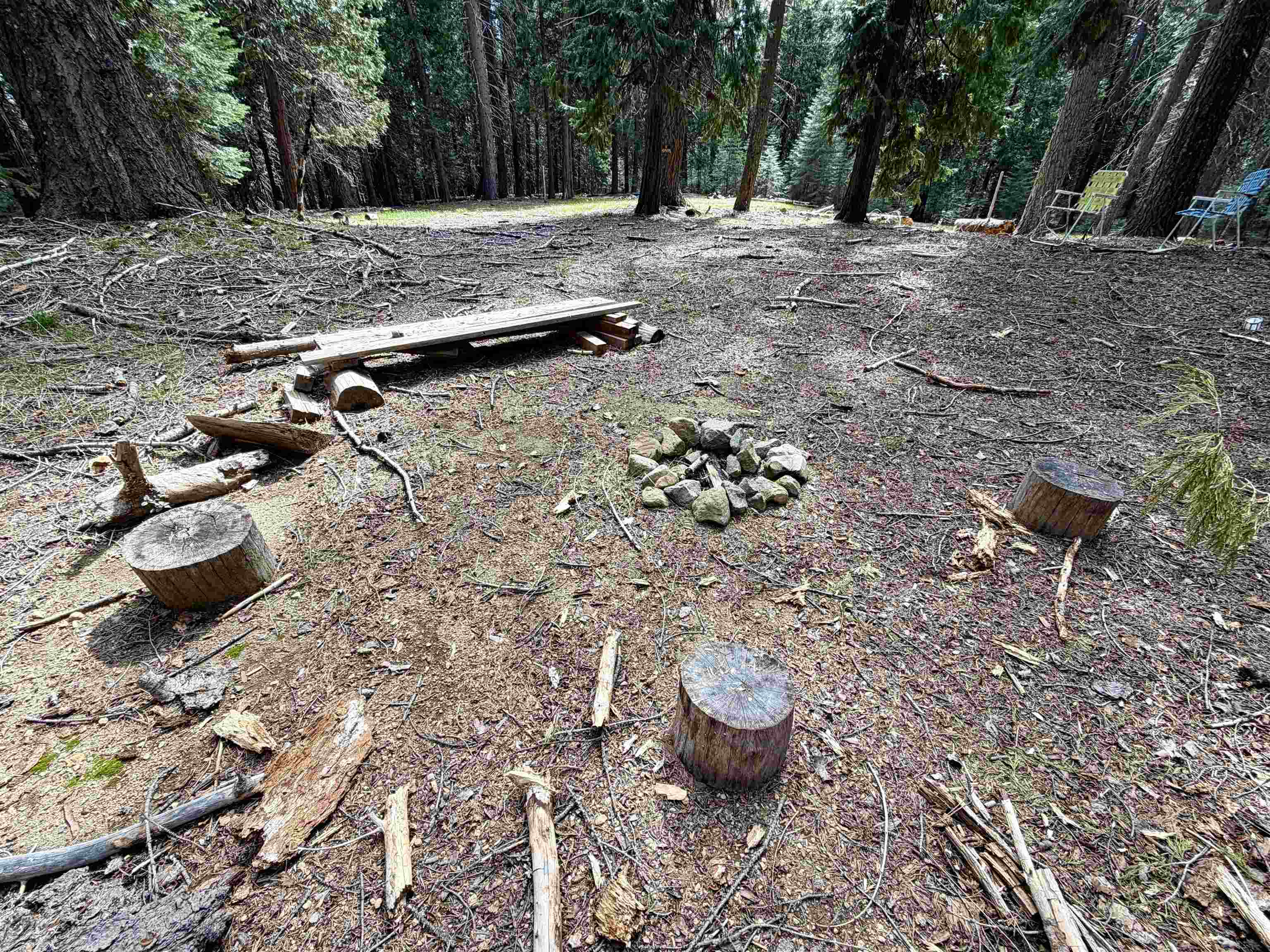 Land in McCloud 3