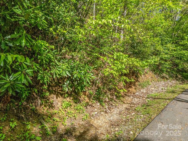 8 White Birch Ct, Home with 0 bedrooms, 0 bathrooms and null parking in Black Mountain NC | Image 17