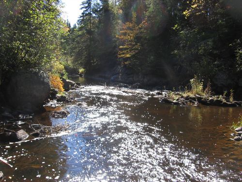 322 Sterling Falls Road, Strong, ON, P0A1Z0 | Card Image