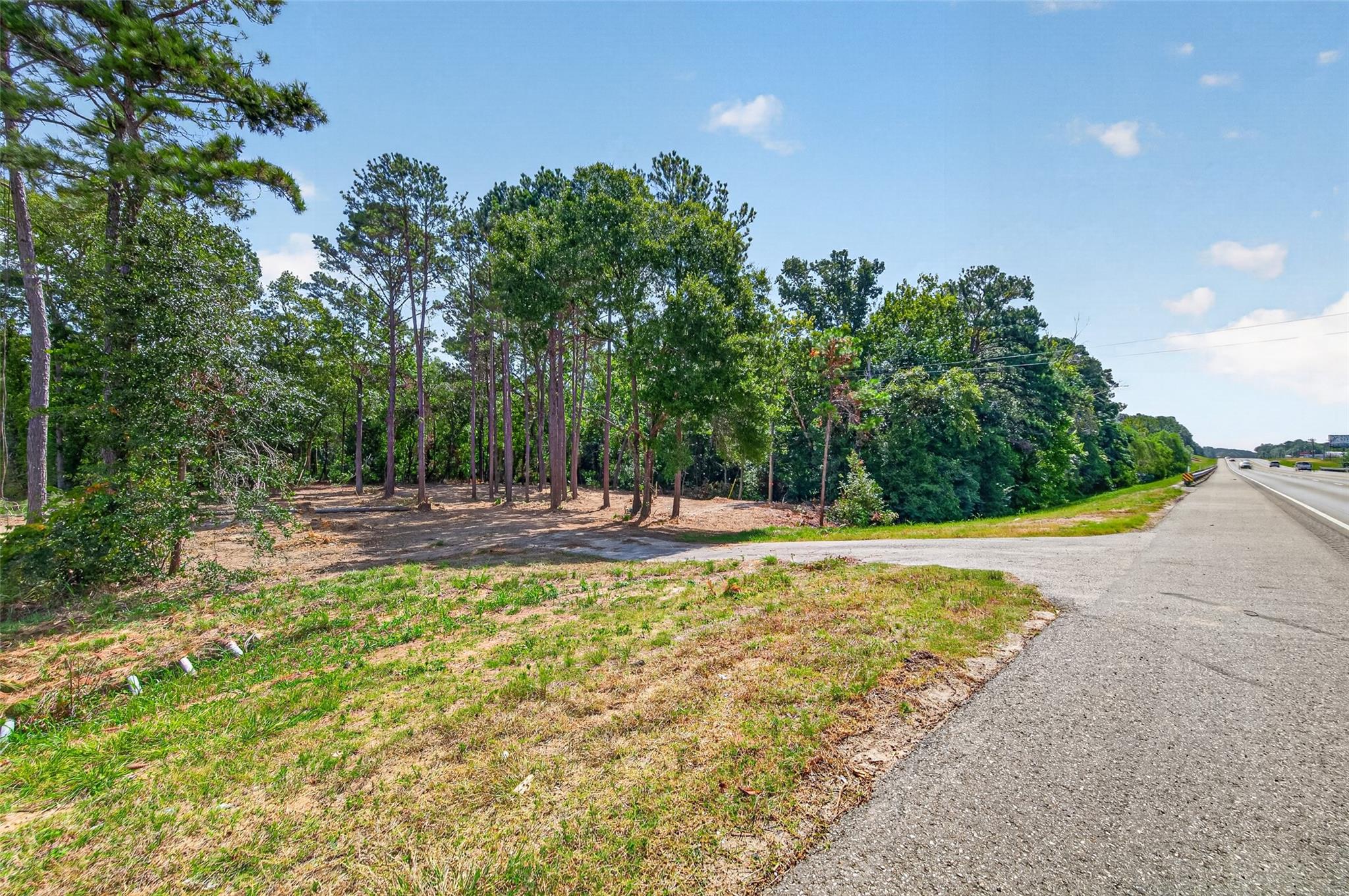 Land in Livingston 3