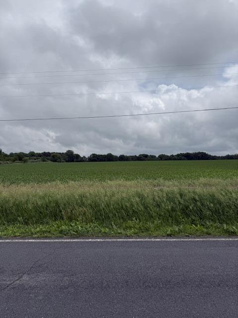 Land in Greenville 4