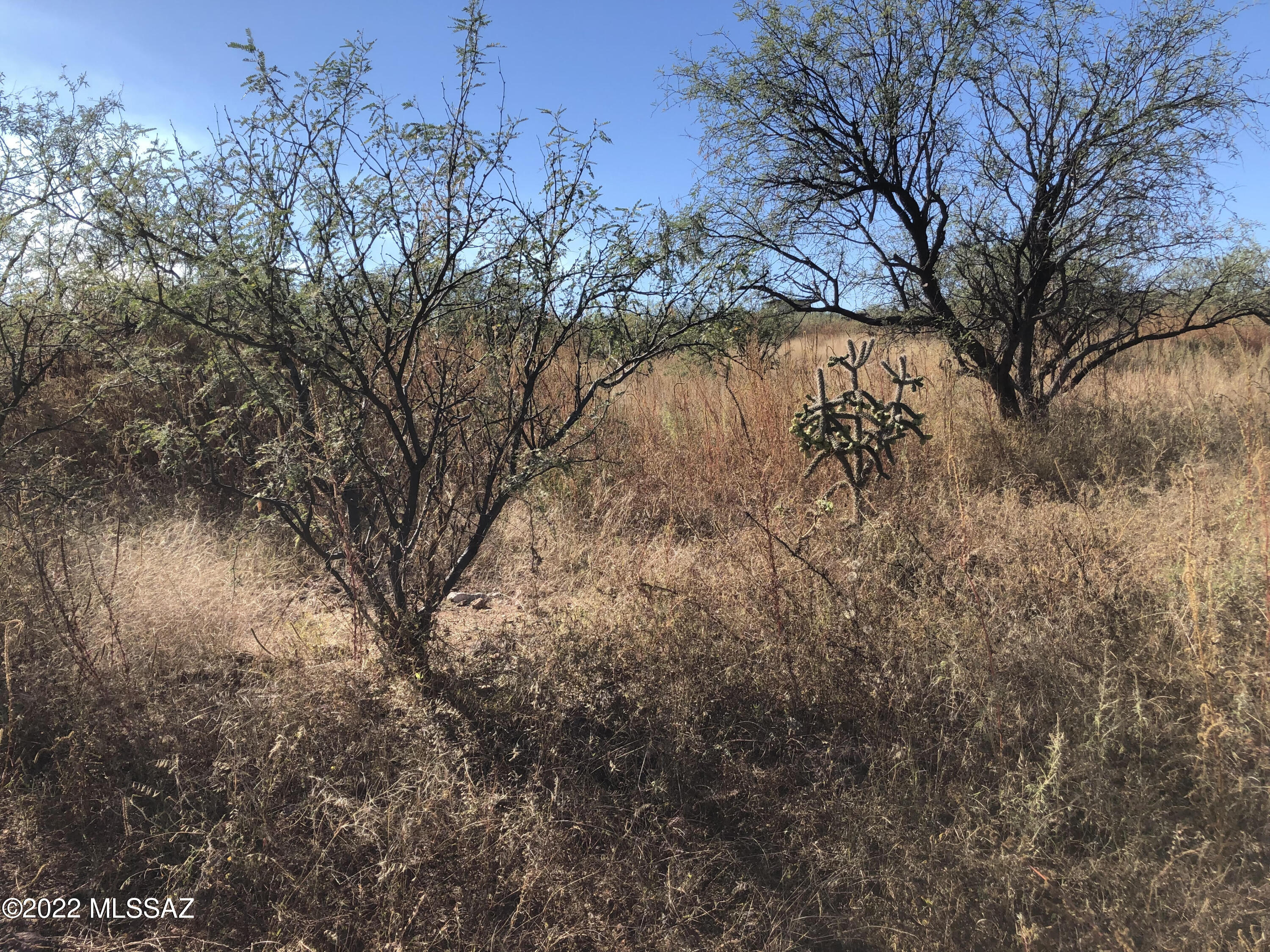 Land in Rio Rico 3