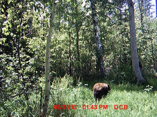OFF Highway 73, Floodwood, MN, 55736 | Card Image