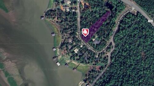 400 Pine Forest Acres Dr, Trinity, TX, 75862-6888 | Card Image