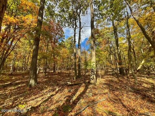 40 Woodridge Ln, Northumberland, PA, 17857-9588 | Card Image