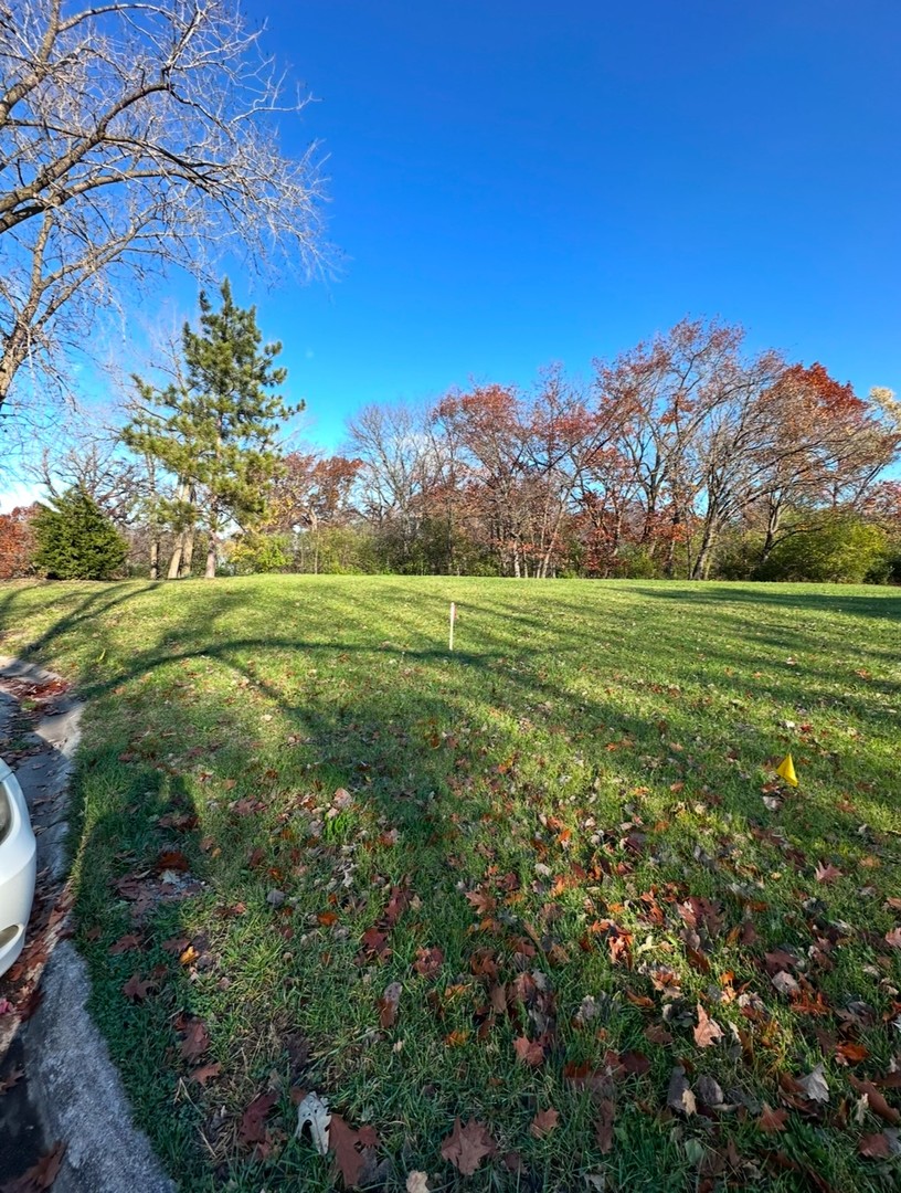 Land in Olympia Fields 4