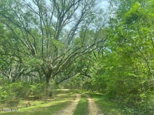 Lot 54 Alder Rd Reedy Creek Crossing, Westville, FL, 32464 | Card Image