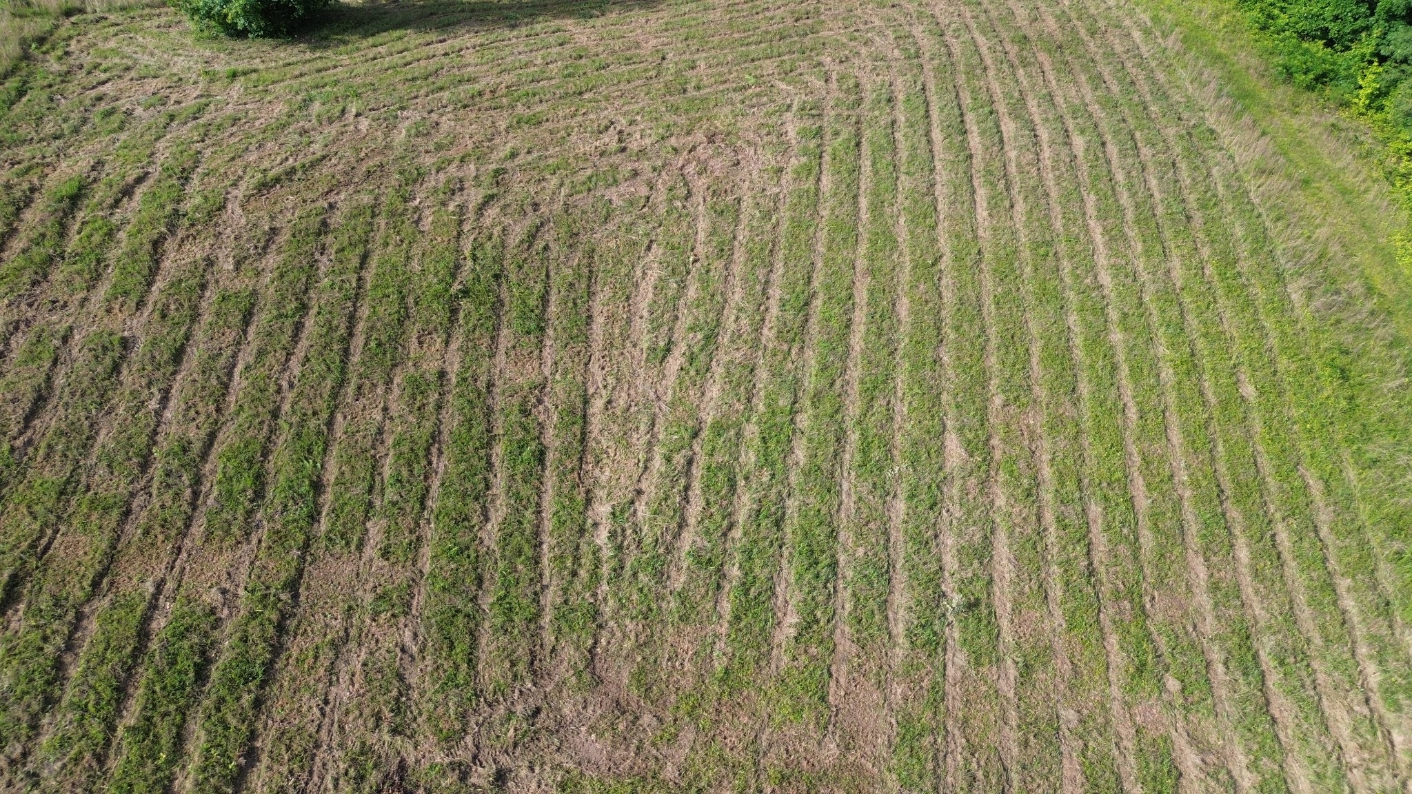Land in Smithville 2