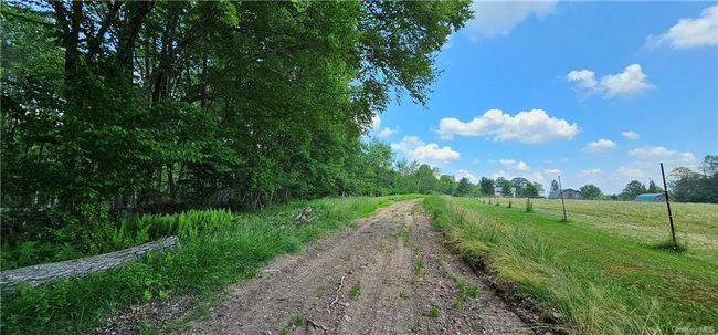 Lot 81.4 County Road 114, Home with 0 bedrooms, 0 bathrooms and null parking in Cochecton NY | Image 3