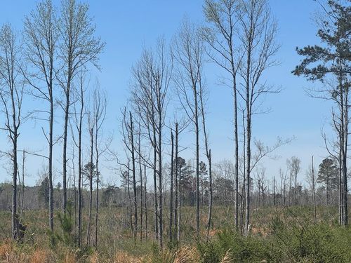 00 County Road 1846, Pachuta, MS, 39347 | Card Image