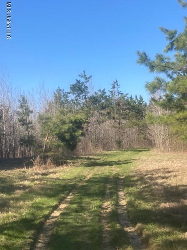 Road Frontage View | Image 4
