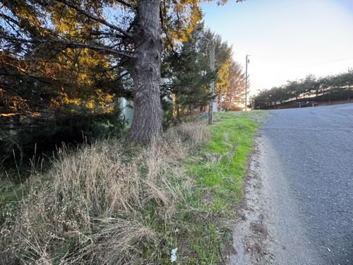 356 Nob Hill Rd, Whitethorn, CA, 95589-9080 | Card Image