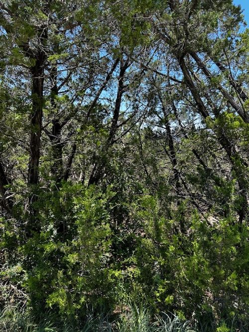 8402 Bronco Ln, Lago Vista, TX, 78645-4104 | Card Image