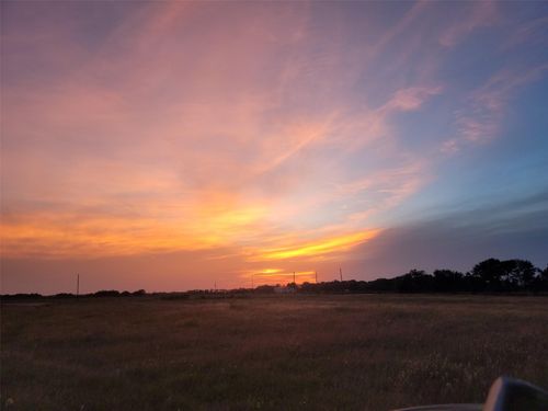 11593 Svoboda Rd, Wallis, TX, 77485-9913 | Card Image