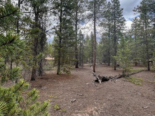 284 Fir Drive, TWIN LAKES, CO, 81251 | Card Image