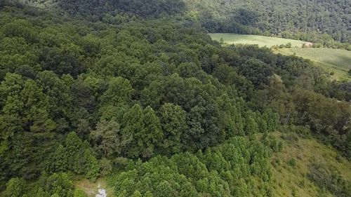 0 Scenic Ln, Rich Creek, VA, 24147 | Card Image