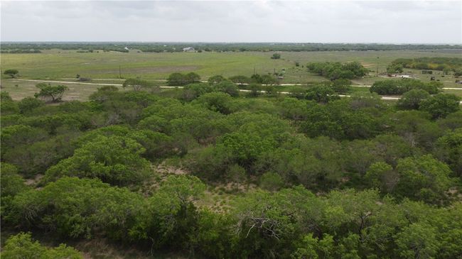 5525 Ravine Rd, Home with 0 bedrooms, 0 bathrooms and null parking in Robstown TX | Image 15