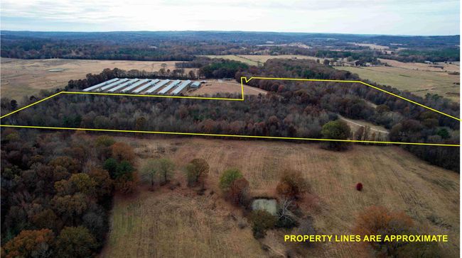 0000 Highway 56, Home with 0 bedrooms, 0 bathrooms and null parking in Russellville AL | Image 38