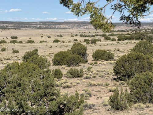 TBD Woodland Valley Ranch Lot 849, St. Johns, AZ, 85936 | Card Image