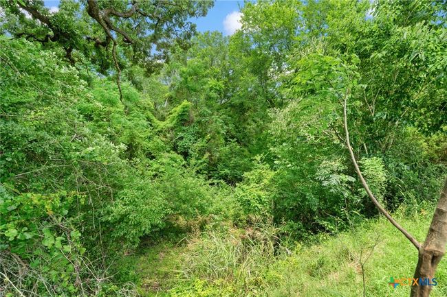 1010 Saint Delight Rd, Home with 0 bedrooms, 0 bathrooms and null parking in Paige TX | Image 33