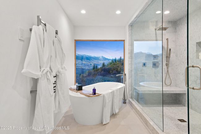 699 Eppley Dr, House other with 5 bedrooms, 8 bathrooms and null parking in Aspen CO | Image 19