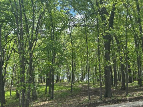 Tract 2 W Farm Road 36, Willard, MO, 65781 | Card Image