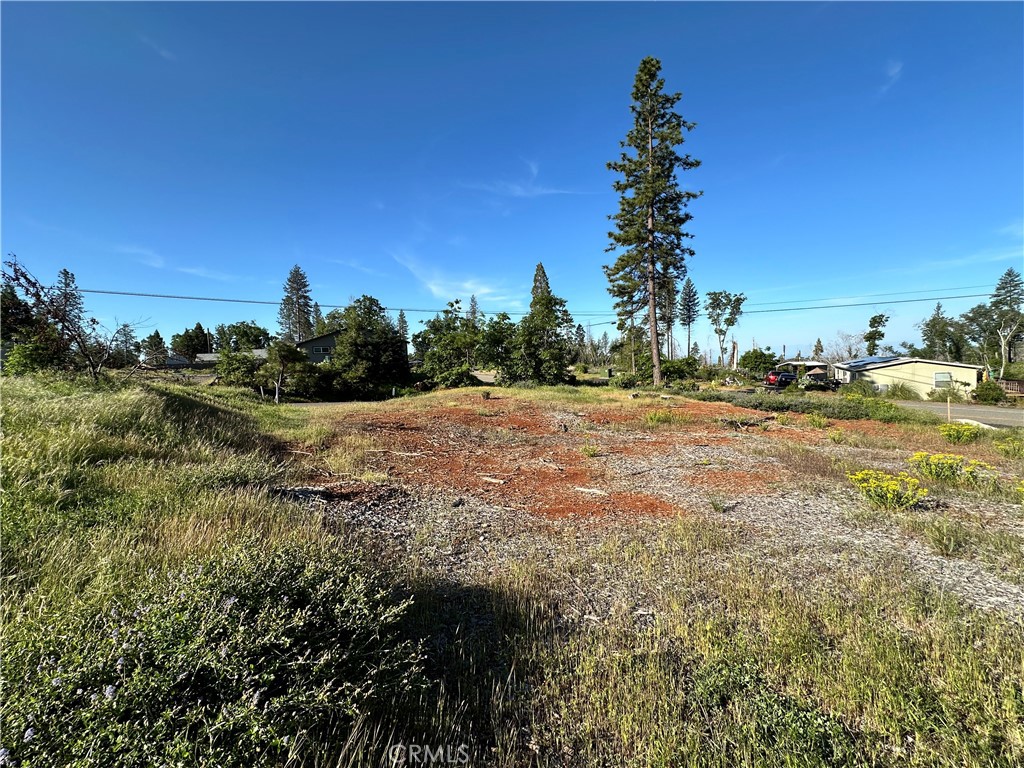 Land in Magalia