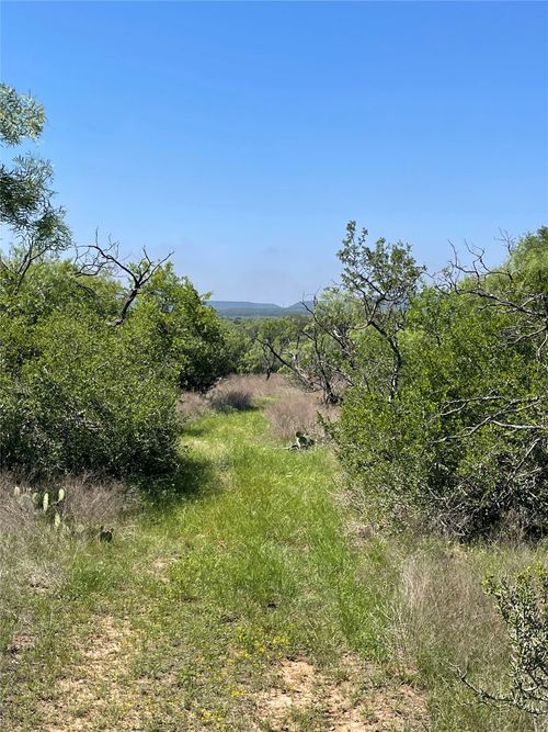 CR 253 Cr 253, Comanche, TX, 76442 | Card Image