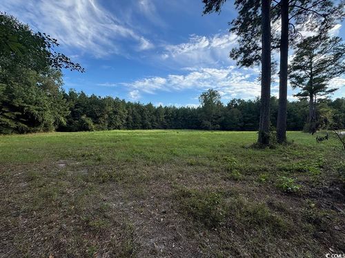 TBD Dead Ridge Rd, Nichols, SC, 29581 | Card Image