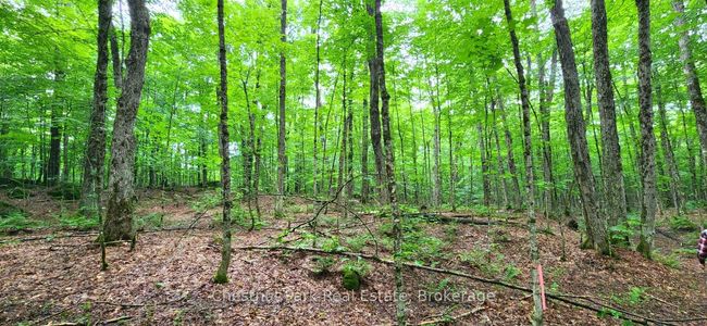 269 Old Muskoka Rd S, House other with 4 bedrooms, 2 bathrooms and 8 parking in Machar ON | Image 45