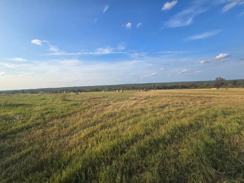 TBD An County Road 128, Elkhart, TX, 75839 | Card Image